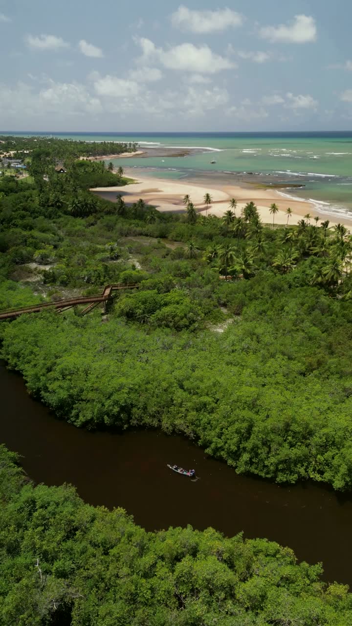 Vista aérea da Praia do Forte: rio e mata nativa em primeiro plano, coqueiral, faixa de areia clara e mar esverdeado ao fundo